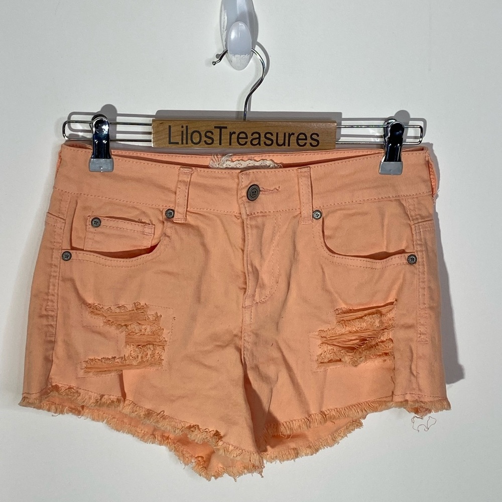 Altard state distressed shorts